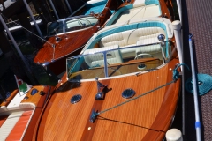DSC_0302-Copy