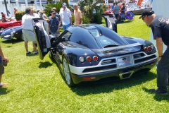 Exotics-on-the-lawn