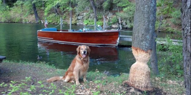 Screenshot_20200522-073412_Facebook